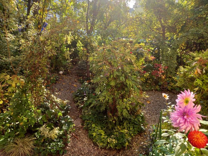  - Grădina 2022 continuare 4