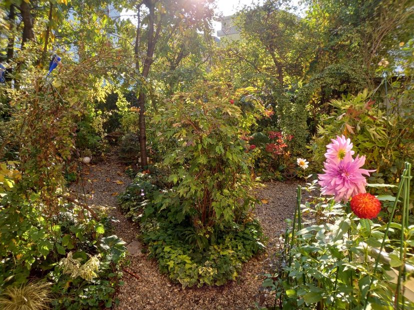  - Grădina 2022 continuare 4