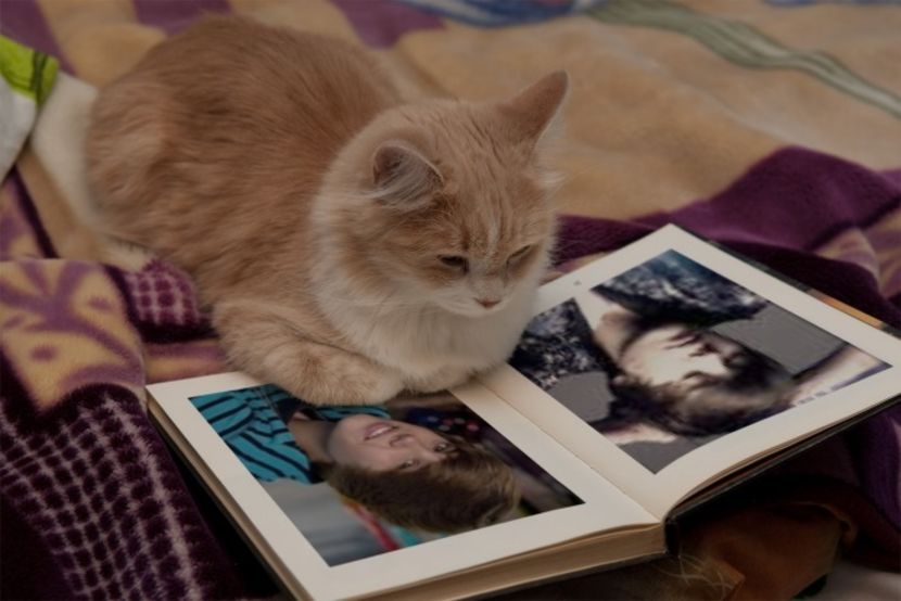 15523754_HDSCVYDXN - clock