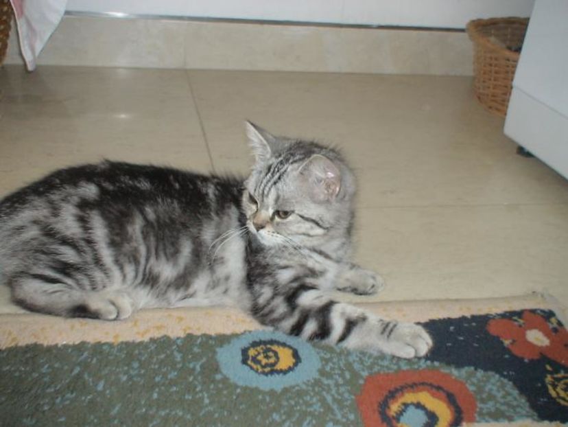 RTYXLOUJPQRUGFHVPLL - photos