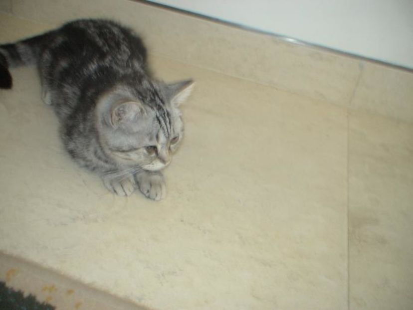 YYORDEQRTWLYVXFKJDF - photos