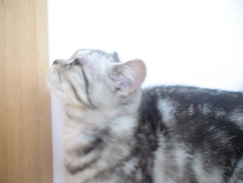 LVZNJUQVSOMUONWJBYK - photos