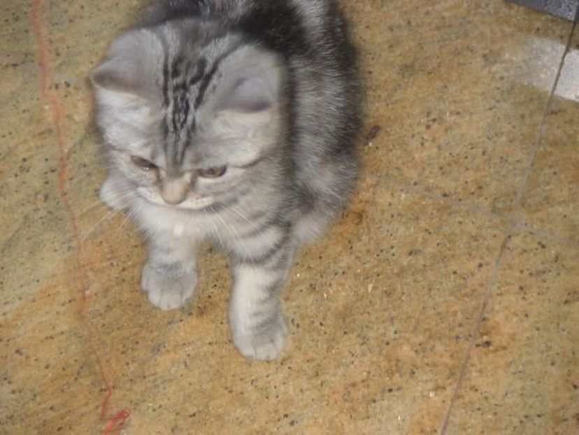 WPXMHZSJKBDBEPQWVLN - photos