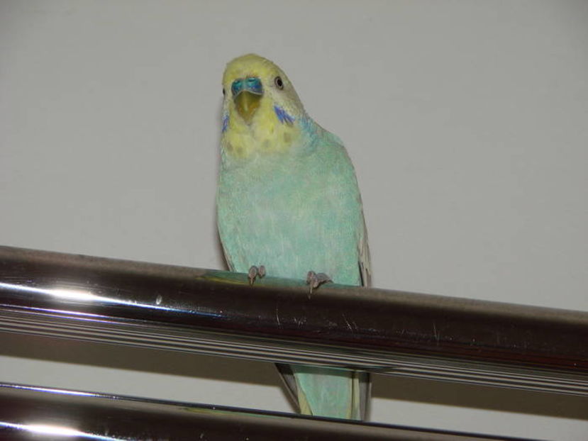 EIATTRBKAQTMXZPXGFY - photos