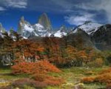 MLTZAYKSPGNFCGXTUEA - photos