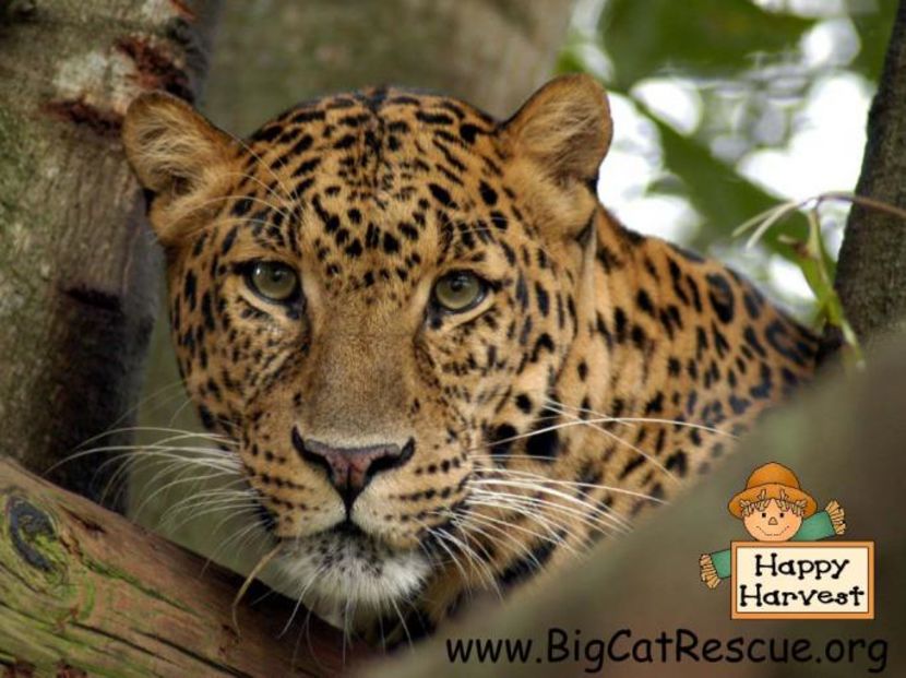 WJQWXKVAJKNYWFJAYFU - photos