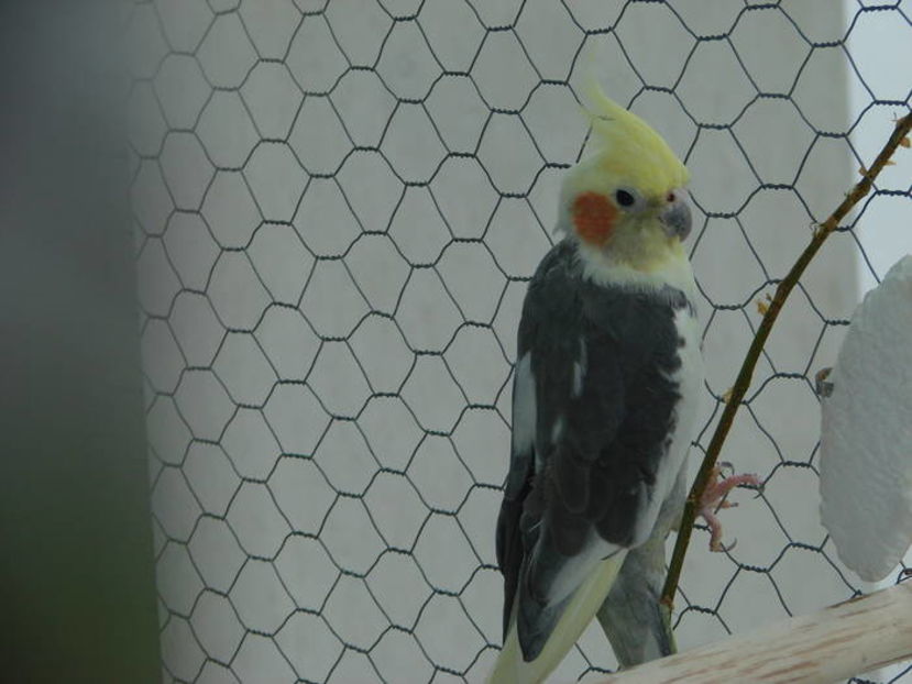 TNXUZSWEVAQMWPRJBBZ - photos