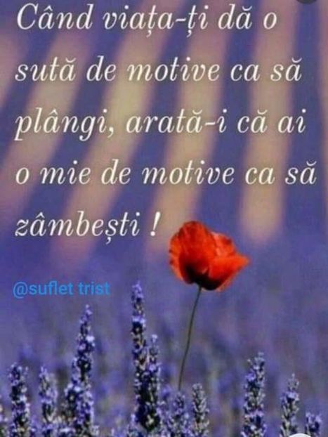  - citate dragute