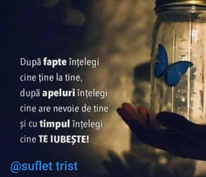  - citate dragute