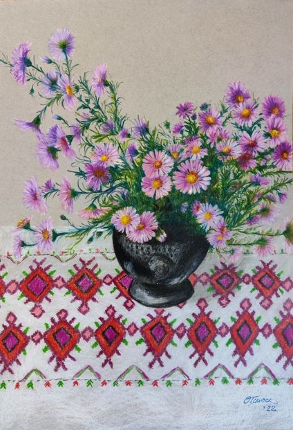 Aster roz - PICTURI