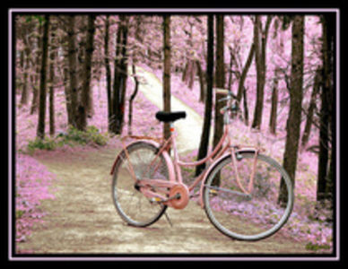 17627144_NDBZBHCSE - pictures