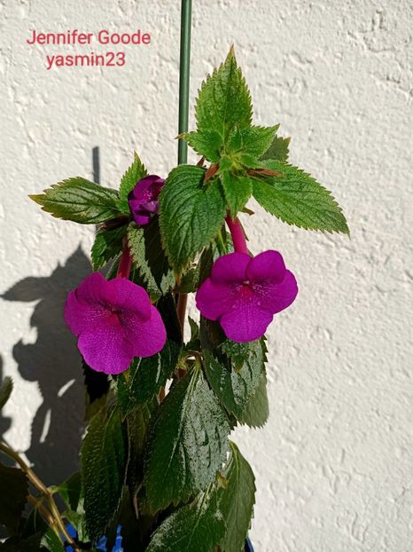 27.10.2022 - Jennifer Goode