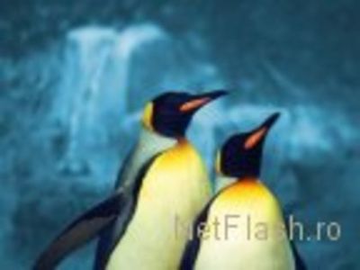 31689137_UHUZIYSDJ - wow uau