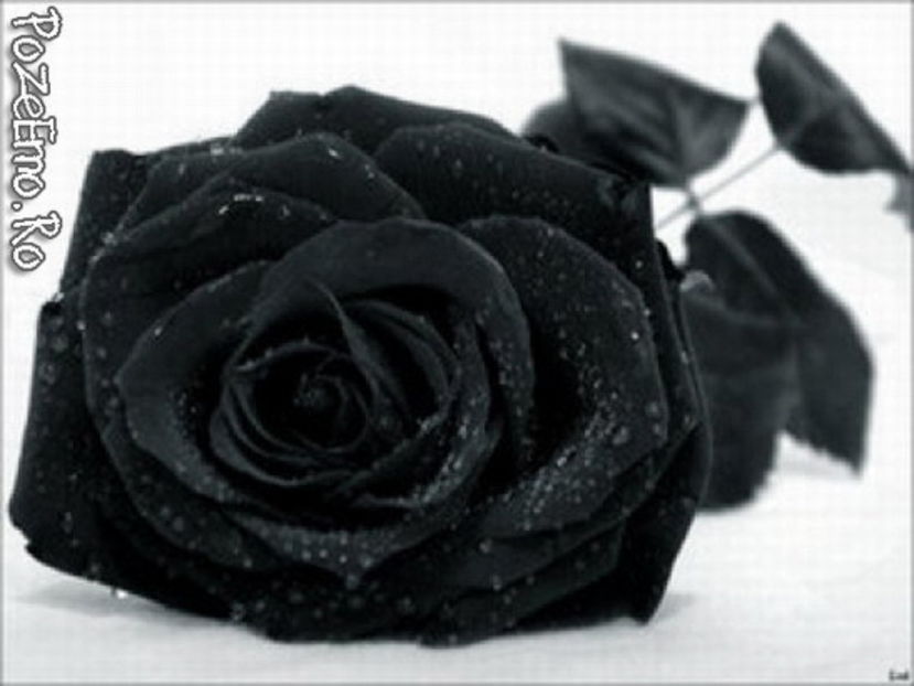 35432229_PAHQHBOUH - wow uau