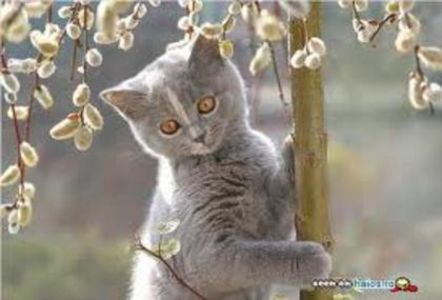31689169_JWIJWQGWF - wow uau
