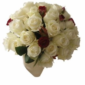 35432218_SSEENGTRW - wow uau