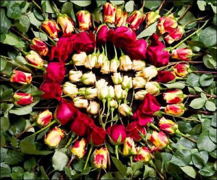 35432200_WLQFVDWVB - wow uau