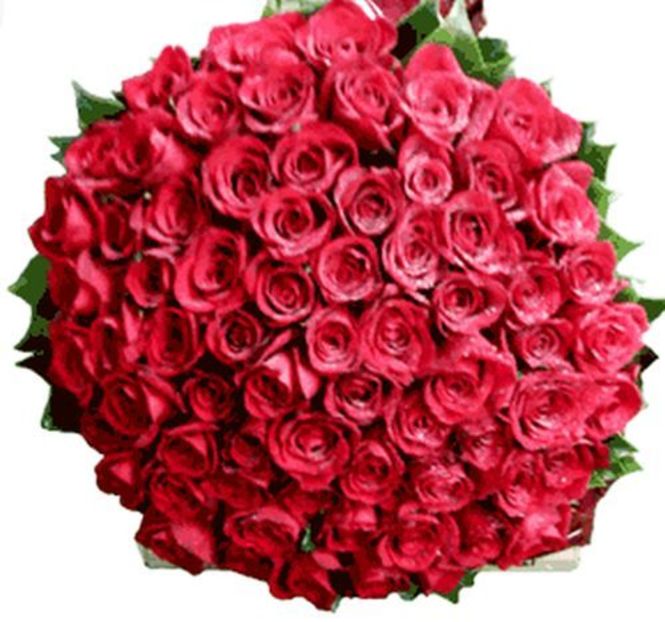 35432197_UWEPXBIPL - wow uau
