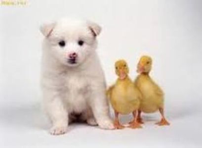 31689110_NUDSJQBTR - wow uau