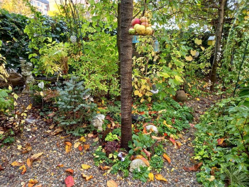  - Grădina 2022 continuare 4