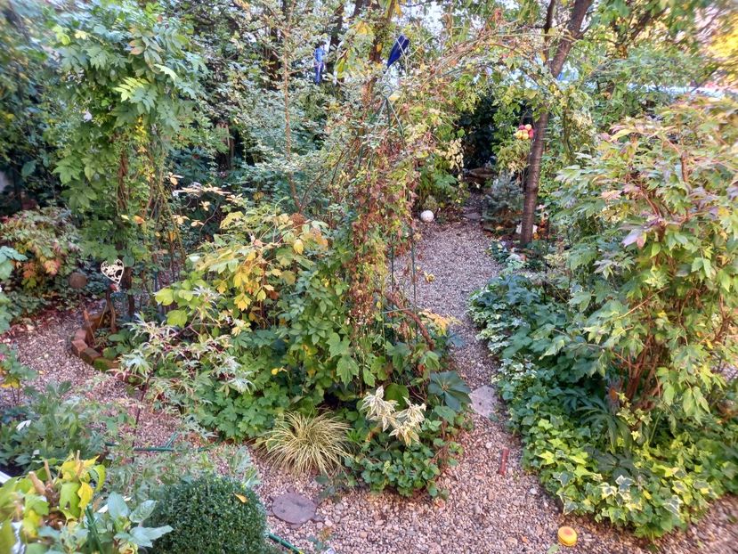 28.10.2022 - Grădina 2022 continuare 4