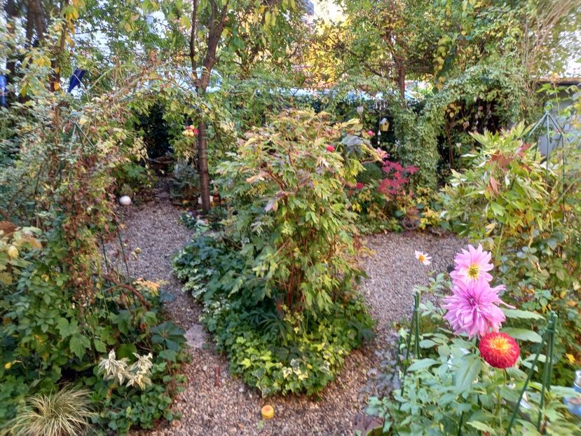  - Grădina 2022 continuare 4