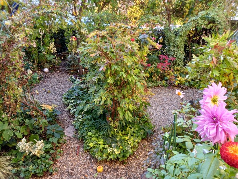  - Grădina 2022 continuare 4