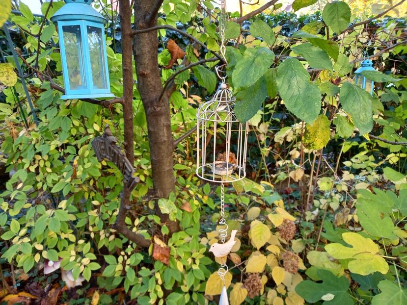  - Grădina 2022 continuare 4