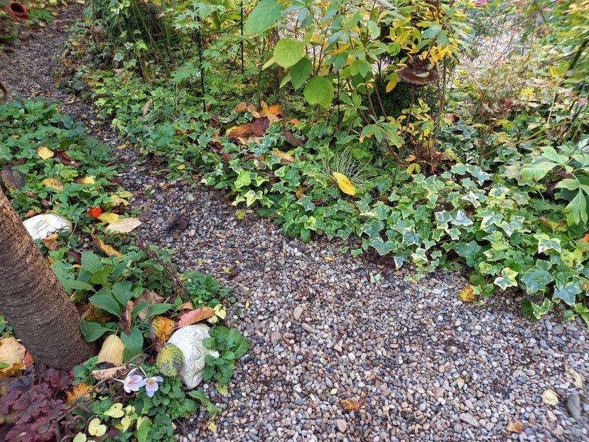  - Grădina 2022 continuare 4