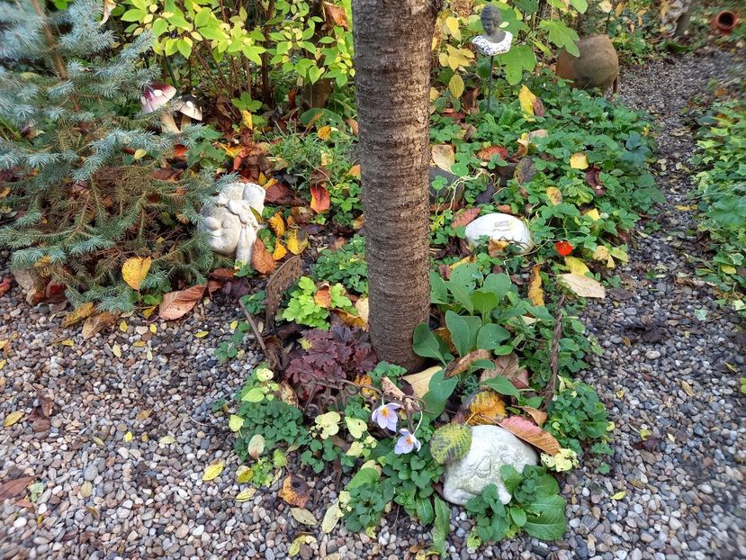  - Grădina 2022 continuare 4