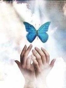 34490779_JGXDFZZOY - winx