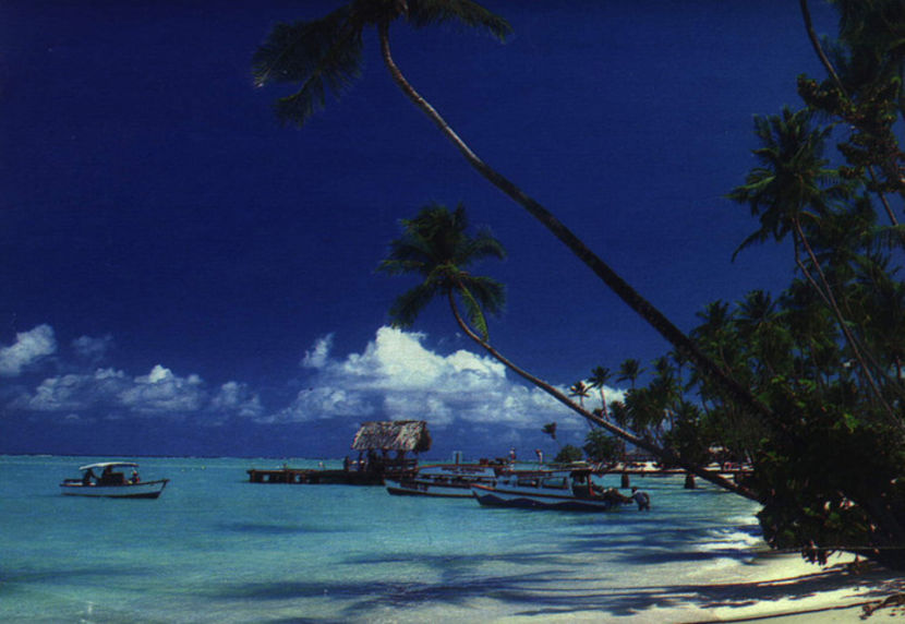 16067824_DTOJIPQEG - diverse