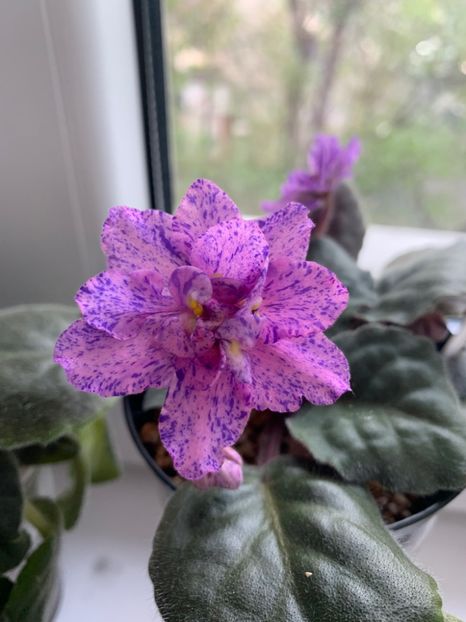 695832E7-0A20-4C4F-9029-83F10F7F3315 - Cathedral