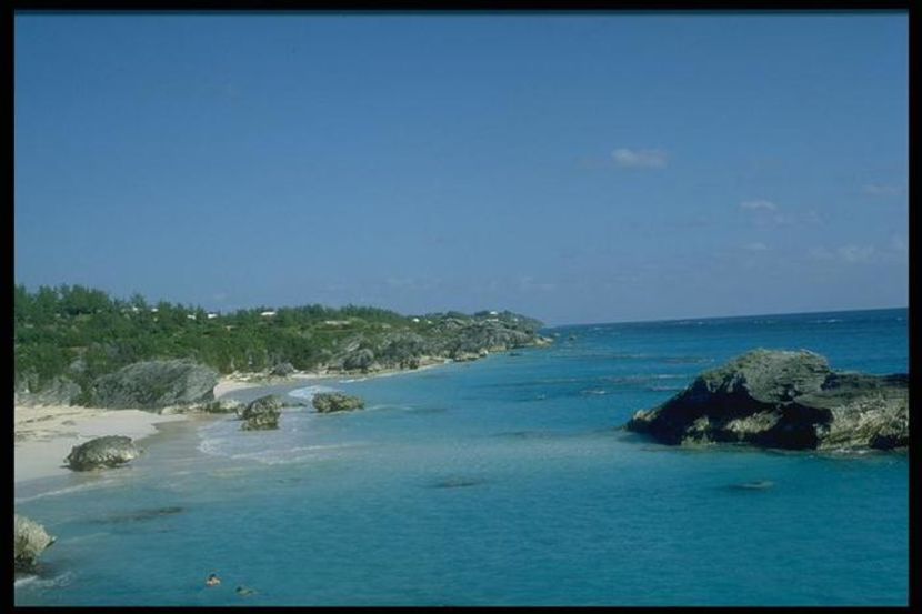 16068061_RPBNKATTX - lucruri