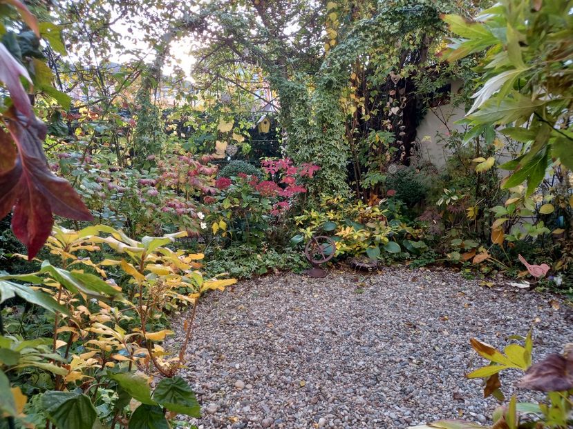  - Grădina 2022 continuare 4