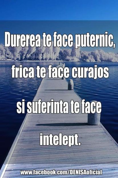 16602151_1531464796882167_1967663710473097503_o - citate minunate wow