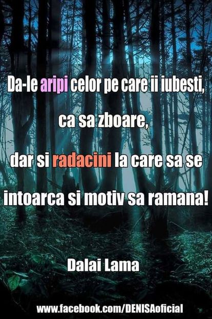 16587065_1531477700214210_1086254740639816845_o - citate wow uau