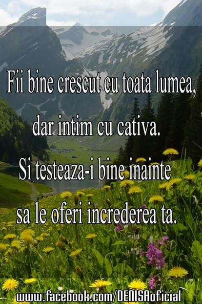 17016867_1557152574313389_1436208414360814835_o - citate wow uau