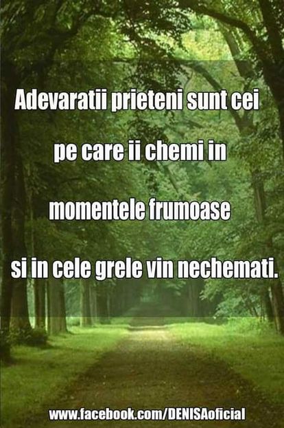 17240037_1563800416981938_6248867248967754804_o - citate wow uau