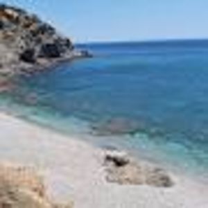 images-18 - imagini