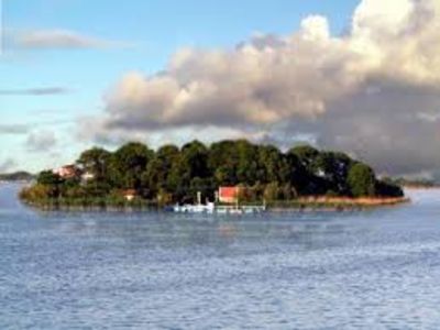 images-14 - imagini