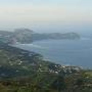 images-19 - imagini