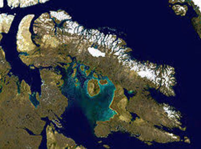 images-9 - imagini