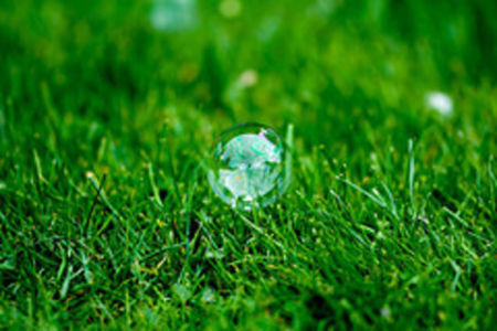 20847042_LIRSBWTTT - land