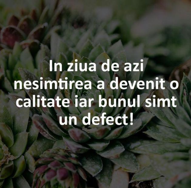 115239656_FWCNRNZ-1 - cerurile pamanturiile