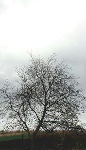 115253501_ZZVALHC-1-1 - cerurile pamanturiile