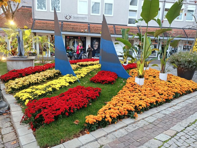 Img.2022.10.30 - Crizantema Lahr