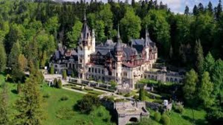 images-17 - sentimente and situatii and stari and trairi diverse