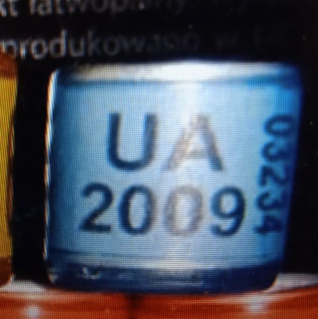 2009-Ucraina - Ucraina