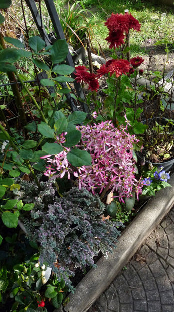  - 2022 - 03 - Toamna